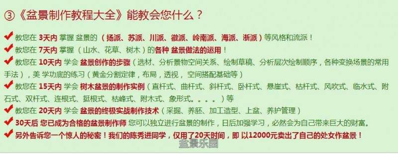 有人收徒弟:3天掌握岭南盆景 30天成为盆景制作师 可信么?