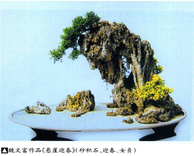 浅谈水石盆景的养护管理技巧