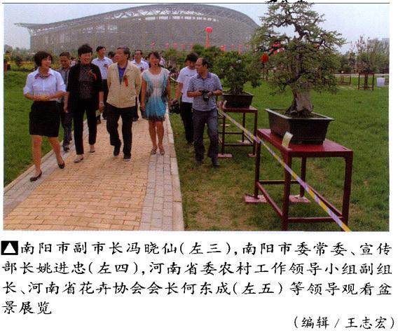 第七届全国农民运动会南阳盆景艺术展