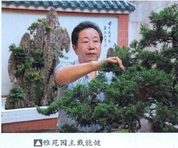 雅苑--湖北戴能健先生的私家盆景园