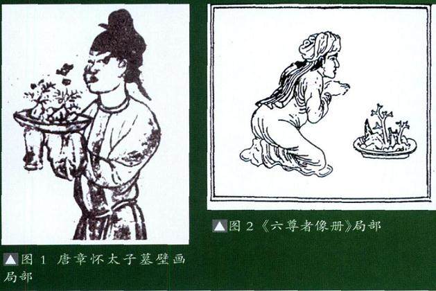 近三十多年以来 中国盆景取得了举世瞩目的成绩