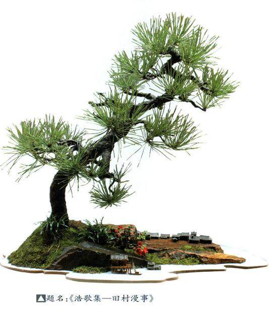 经常有人问我盆景是什么？我想我可能也没搞明白