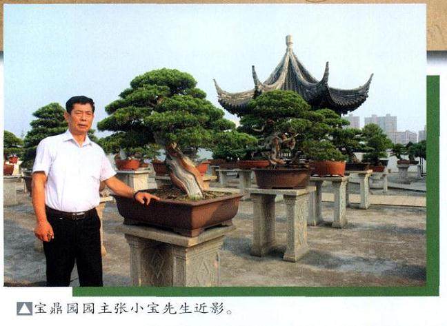 常熟宝鼎园是张小宝先生建设的私家盆景园