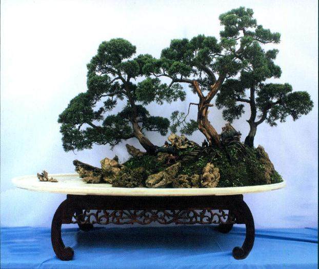 第八届中国盆景展览会在陕西省安康市举办