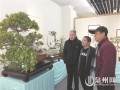 泉州盆景书画迎春展在泉州华侨历史博物馆拉开序幕