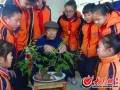 湖滨镇寨卢小学给学生讲解盆景修剪园艺知识
