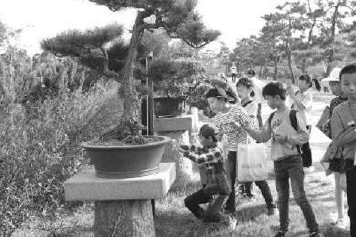 厚德小学小记者 畅游植物园学盆景攀扎术