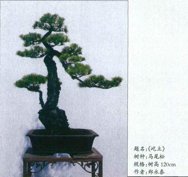 下山桩的采挖与养护 要注意这4点