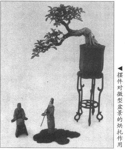 图解 微型文人树盆景怎么制作的方法