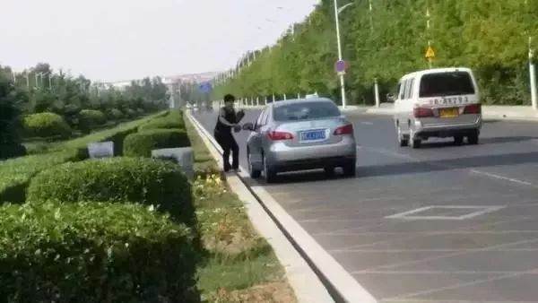 开越野车偷盆景给朋友公司美化,这下吃官司了!