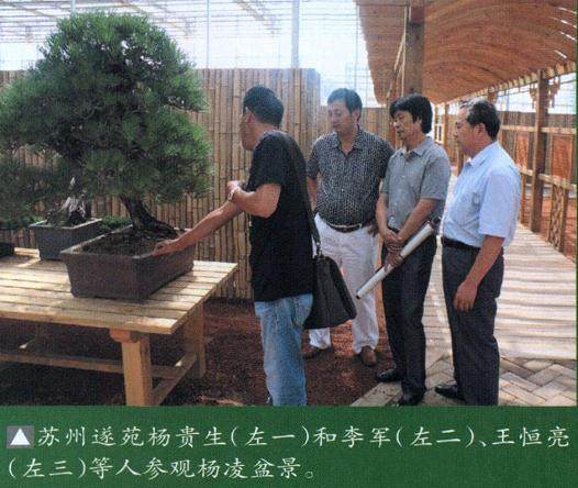 蚌埠盆景协会会长谢树俊前往陕西杨凌考察日本盆景