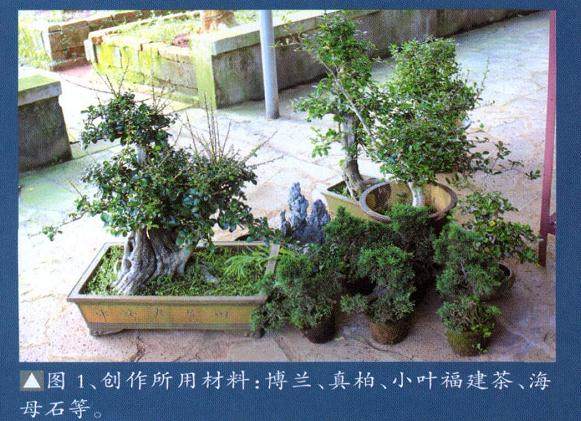 制作盆景所用材料