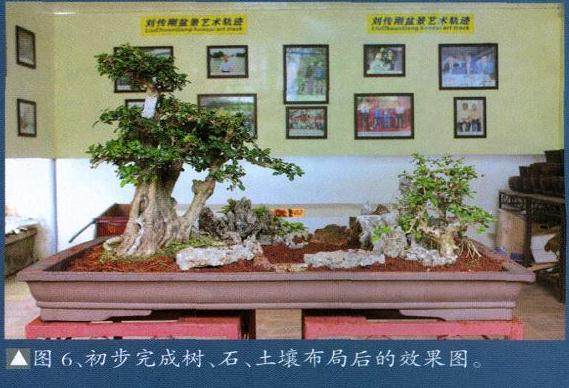 土壤布局后的效果图