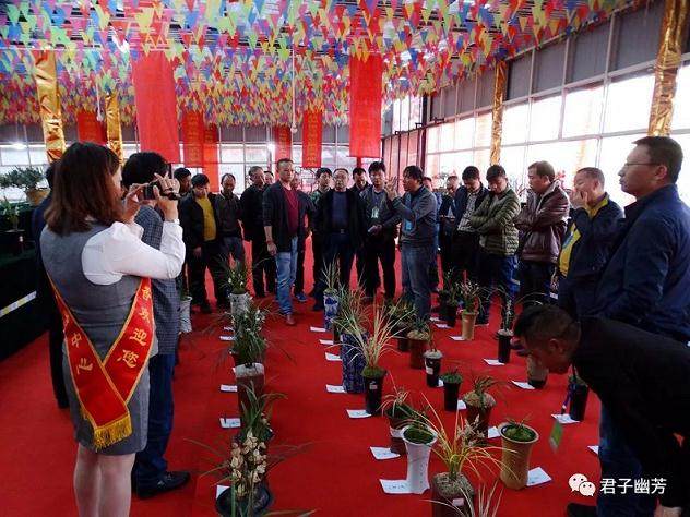 第四届云南新益洲兰花盆景展邀请函