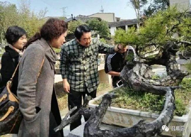 春风行动~湖北盆景分会鄂东南之行