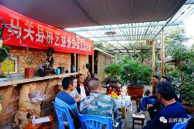 马关县根艺盆景协会开展学习交流活动