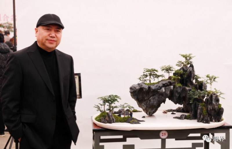 靖江盆景制作师展金涛从工匠到艺术家的蜕变