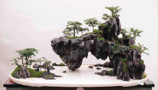 靖江盆景制作师展金涛从工匠到艺术家的蜕变