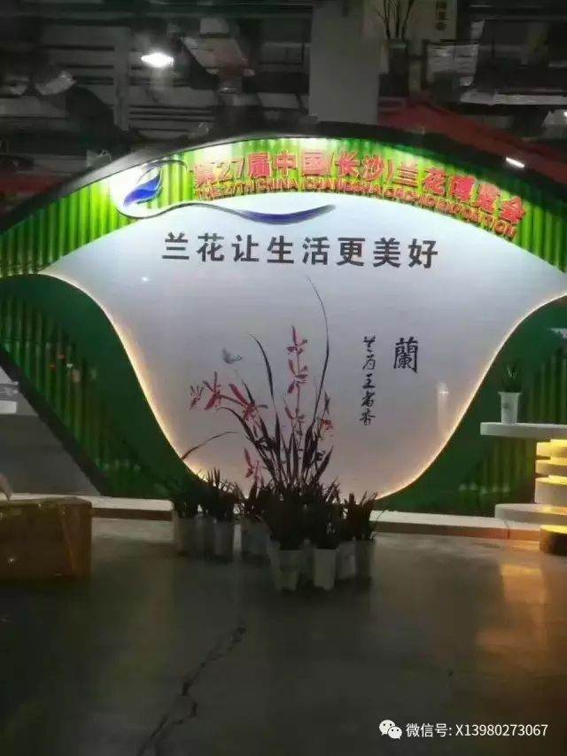 云南昆明第4届“新益州兰花盆景展”通知