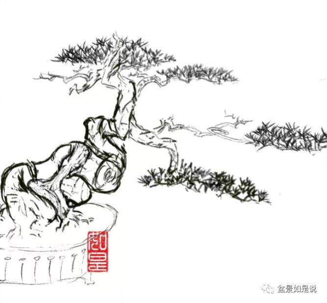 枯在中国盆景中的运用和原理