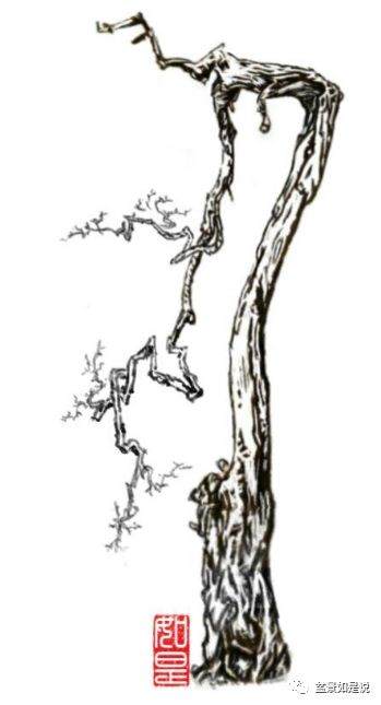 枯在中国盆景中的运用和原理