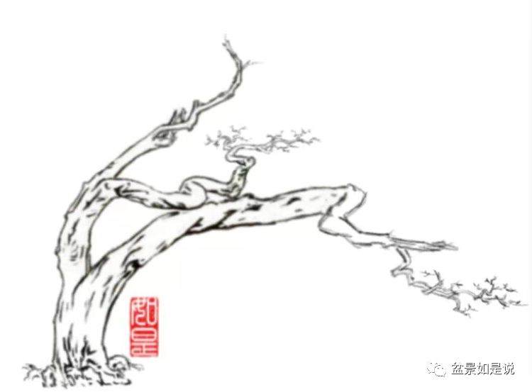 枯在中国盆景中的运用和原理