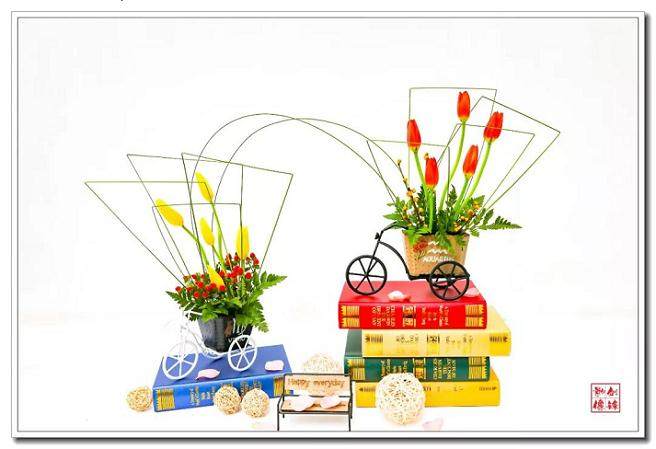 第七届中国 鄢陵蜡梅梅花文化节盆景欣赏