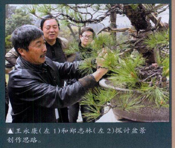 盆景乐园论坛主办的小品盆景活动在南京古林盆景园举行