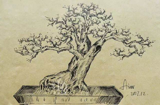 图解 怎么做好盆景设计图的几个原则