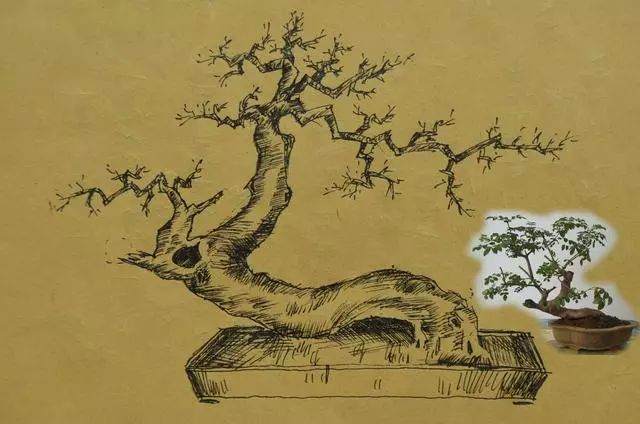 图解 怎么做好盆景设计图的几个原则