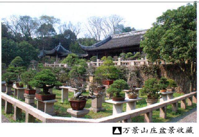 胡运骅先生还赴宜兴参加第二届中国宜兴盆景艺术节