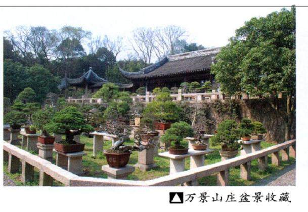 黄山鲍家花园被2013年世界盆景大会组委会指定为大会参观点