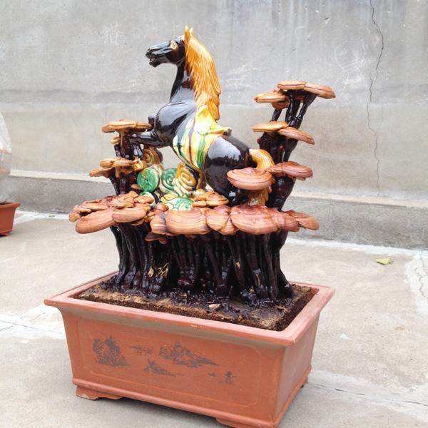 灵芝盆景大棚种植技术