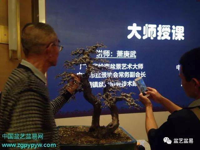 2018古镇盆景协会年度联谊会