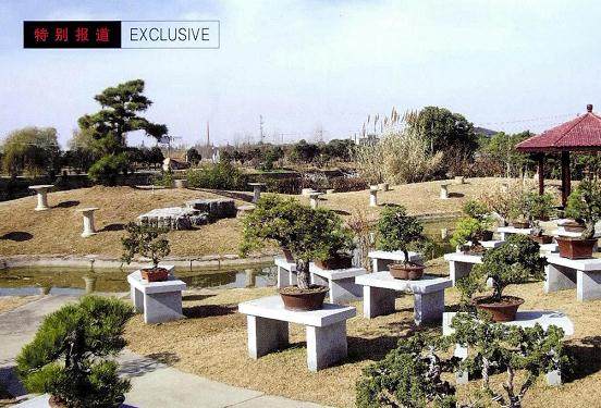 盆景乐园网站站长郑志林在闭幕式上致辞