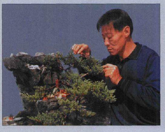 欣赏林瑞温的酒瓶盆景