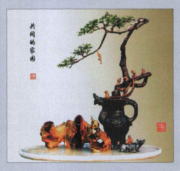 欣赏林瑞温的酒瓶盆景