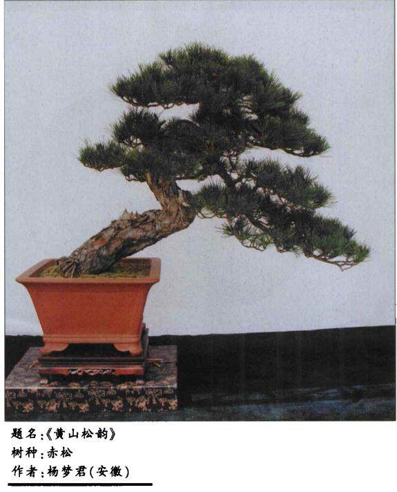  &ldquo;源于自然，高于自然&rdquo;是盆景艺术创作必须遵循的一个法则