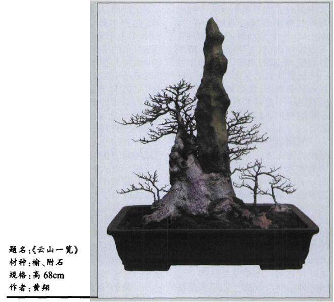 谈点不同的盆景构思建议供作者参考