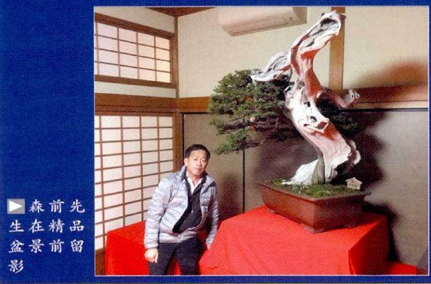 日本北海道带确实隐匿着爱好盆景超过50年的爱好者