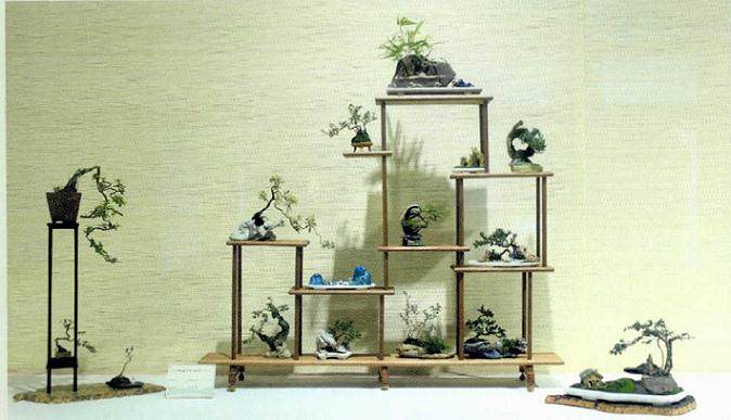 2017年 浙派盆景展在杭州举办潘仲连盆景艺术研讨会