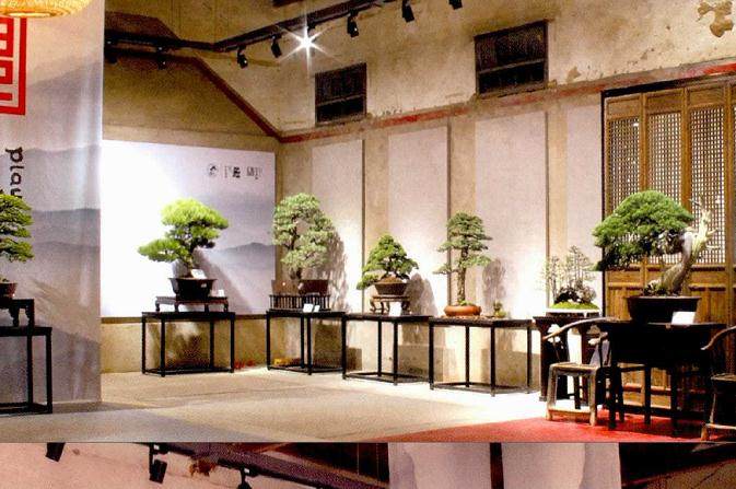 名家盆景作品展成功在安徽举办