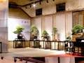 名家盆景作品展成功在安徽举办