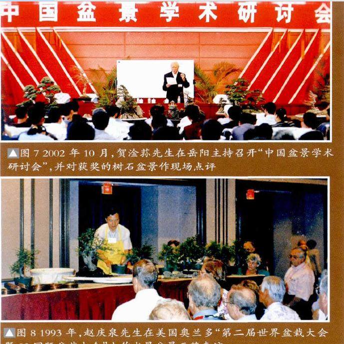 本栏目将连载由张志刚先生编著的《中国树石盆景》