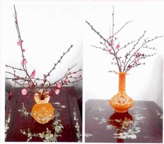 盆栽梅花更换新土 施肥要注意根肥和叶面肥相互补充