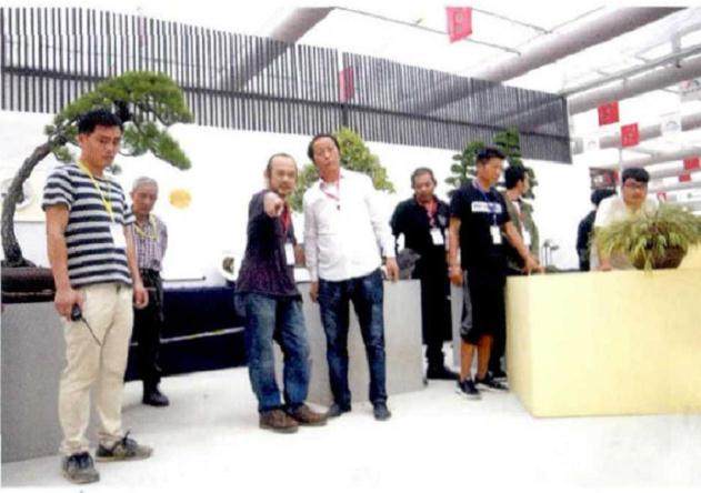 看这7年来 盆景乐园走过的历程