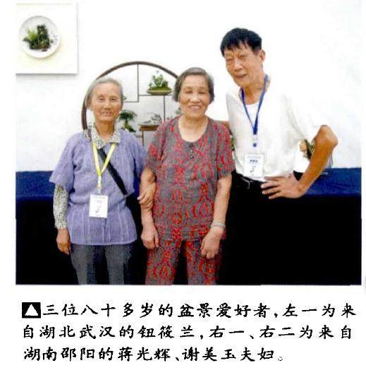 盆景乐园也在展会结束后征集了网友的意见 一起来听听