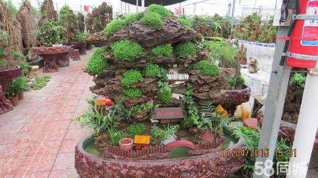 晋阳“秋之韵”太原市第九届盆景艺术节