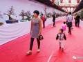 盆景展 外行如何看热闹