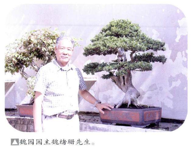 山东日照魏园是中国杰出盆景艺术家--魏绪珊创办